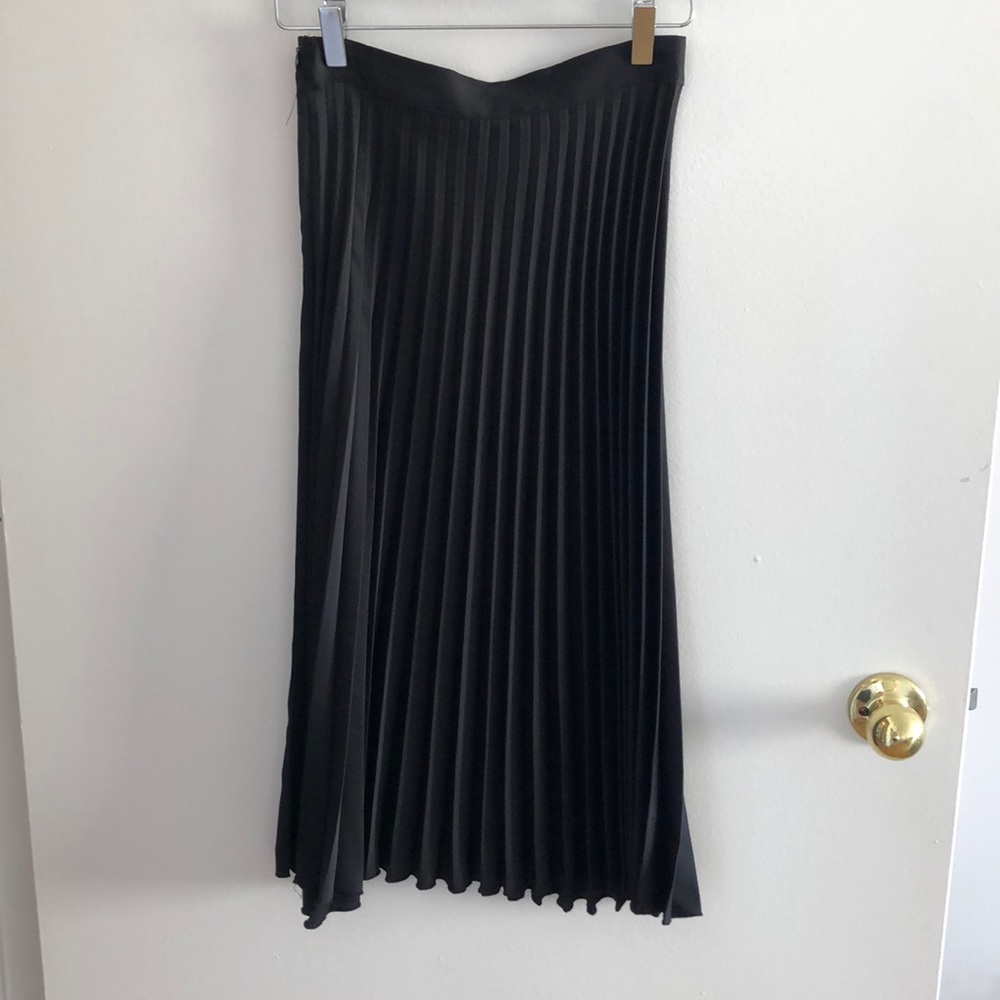 ✨last chance✨ Zara Pleated Silk Skirt, Black